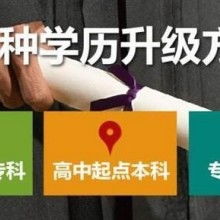 成都市金牌思維教育咨詢(xún)有限責(zé)任公司 專(zhuān)業(yè)教育咨詢(xún)，點(diǎn)亮成長(zhǎng)之路